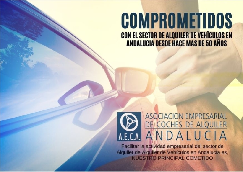 Sinergia del Sector Tur�stico y Rent a Car