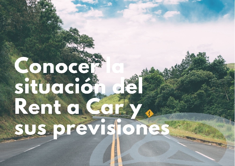 Conocer la situaci�n del Rent a Car y sus previsiones