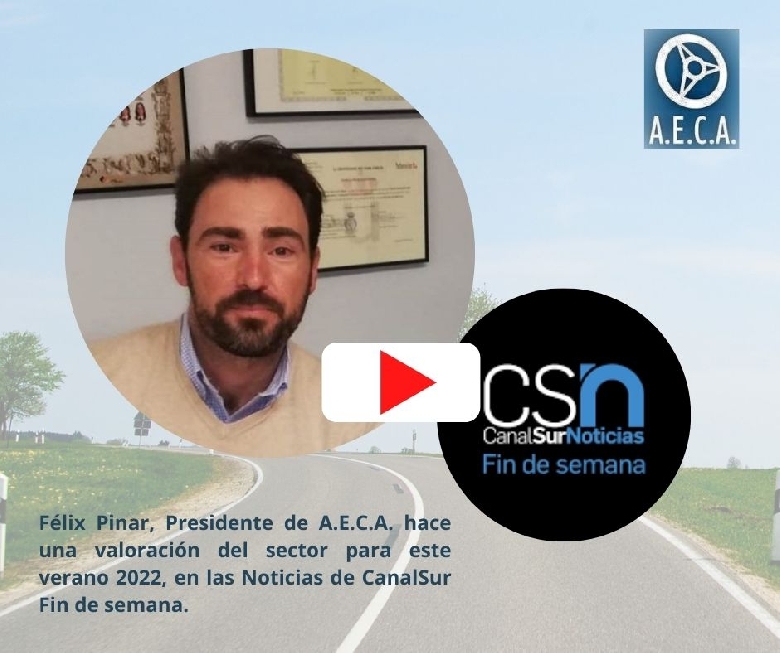 F�lix Pinar, Presidente de AECA hace una valoraci�n del sector en CanalSur