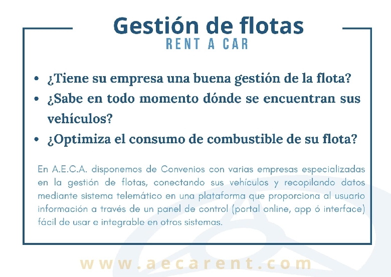 Sistemas gesti�n de flotas para Rent a Car