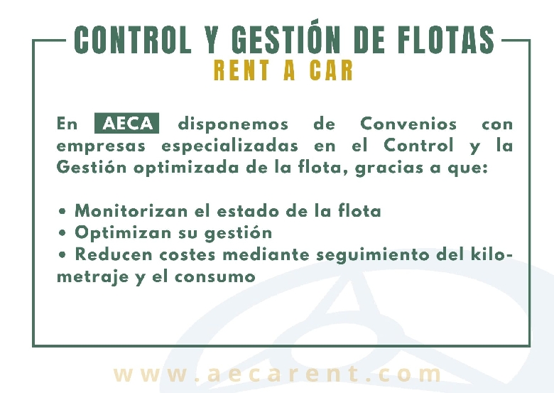 Control y gesti�n de flotas