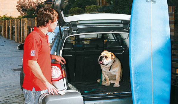 L�pida, caniche... Objetos perdidos en coches de alquiler