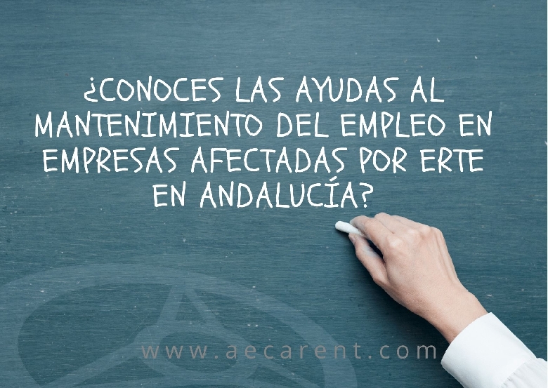 Conoces las ayudas al mantenimiento del empleo en empresas afectadas por ERTE en Andaluca?