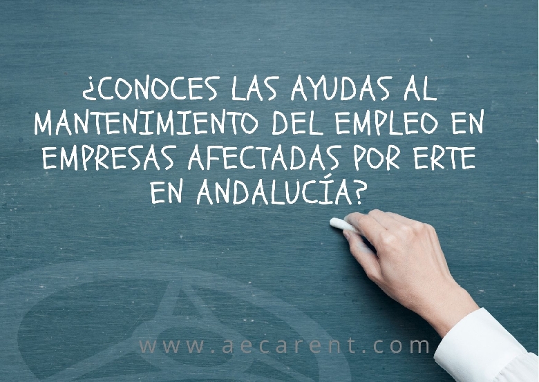 �Conoces las ayudas al mantenimiento del empleo en empresas afectadas por ERTE en Andaluc�a?