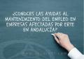 �Conoces las ayudas al mantenimiento del empleo en empresas afectadas por ERTE en Andaluc�a?