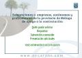 Subvenciones a empresas, aut�nomos y profesionales de M�laga
