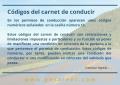 C�DIGOS DEL CARNET DE CONDUCIR